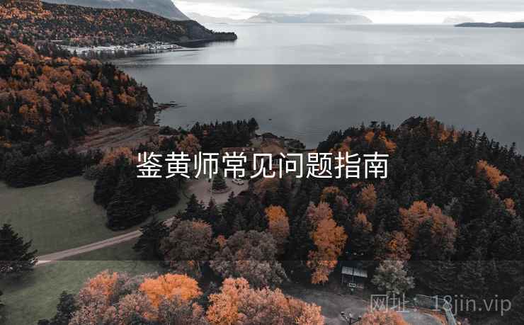 鉴黄师常见问题指南  第1张