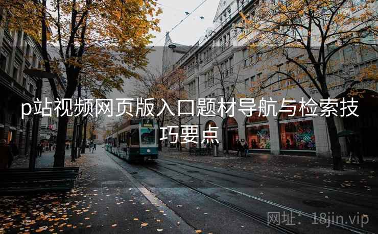 p站视频网页版入口题材导航与检索技巧要点  第1张