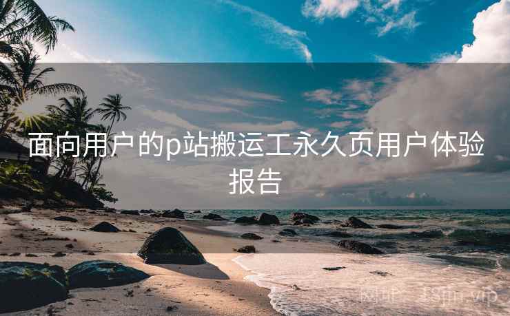 面向用户的p站搬运工永久页用户体验报告  第2张