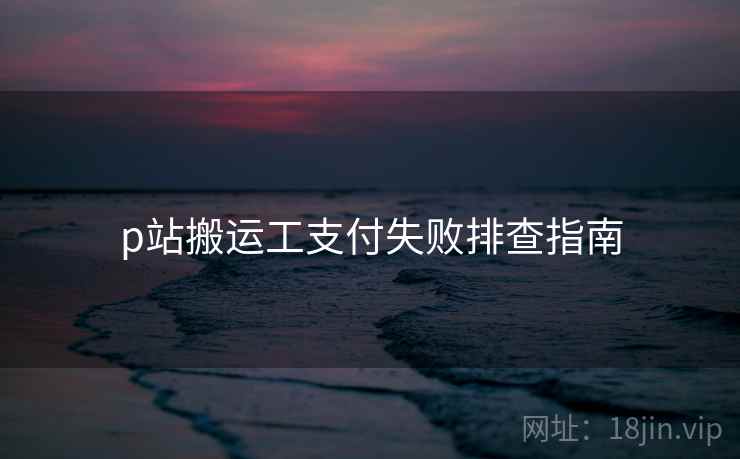 p站搬运工支付失败排查指南  第1张