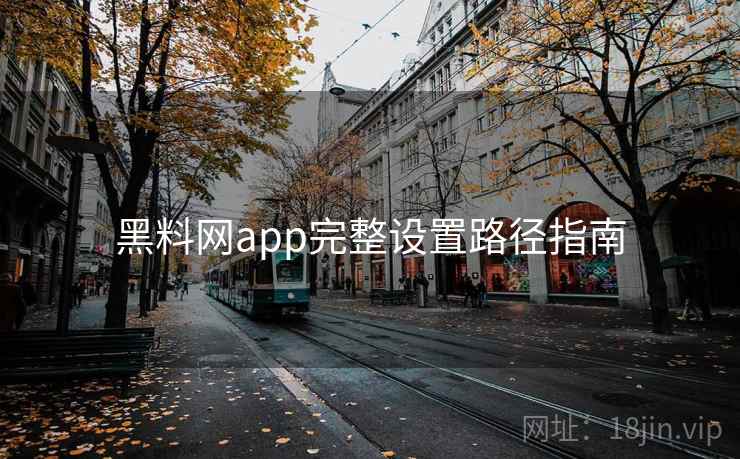 黑料网app完整设置路径指南  第2张