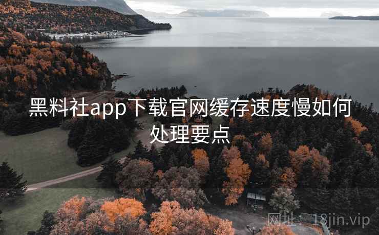 黑料社app下载官网缓存速度慢如何处理要点 第1张 黑料社app下载官网缓存速度慢如何处理要点 第1张