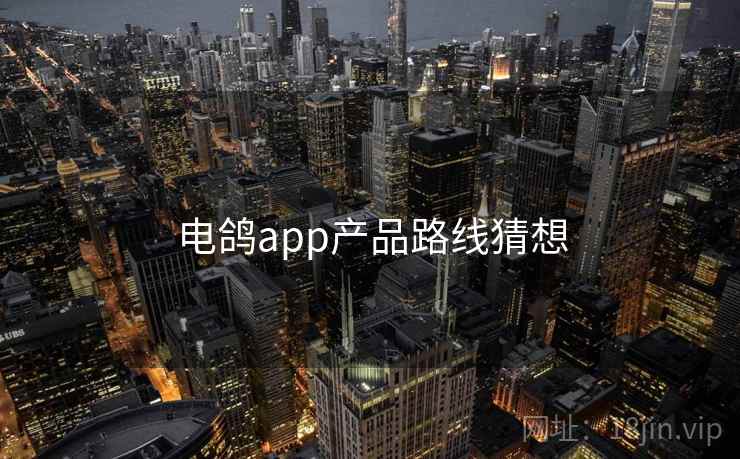 电鸽app产品路线猜想 第1张 电鸽app产品路线猜想 第1张