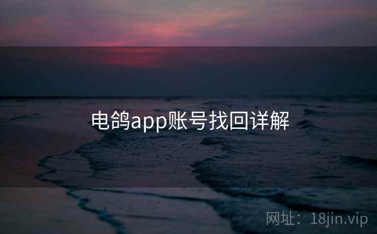 电鸽app账号找回详解 第2张 电鸽app账号找回详解 第2张