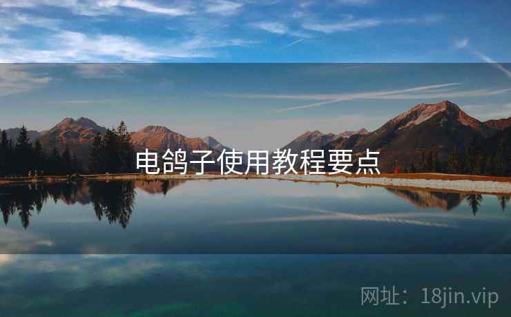 电鸽子使用教程要点  第2张